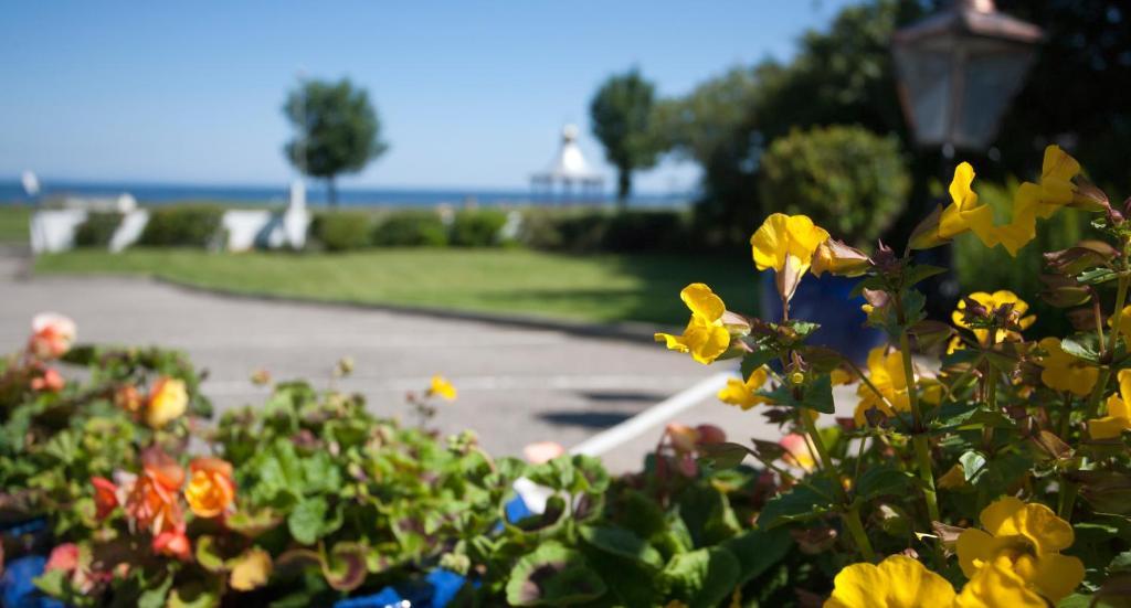 Sunny Brae Bed & Breakfast 네언 외부 사진